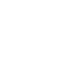 copy Icon